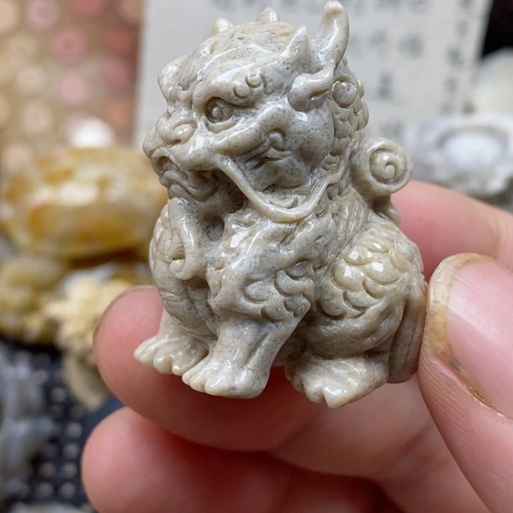 颈饰未镶嵌硅化珊瑚（珊瑚玉）