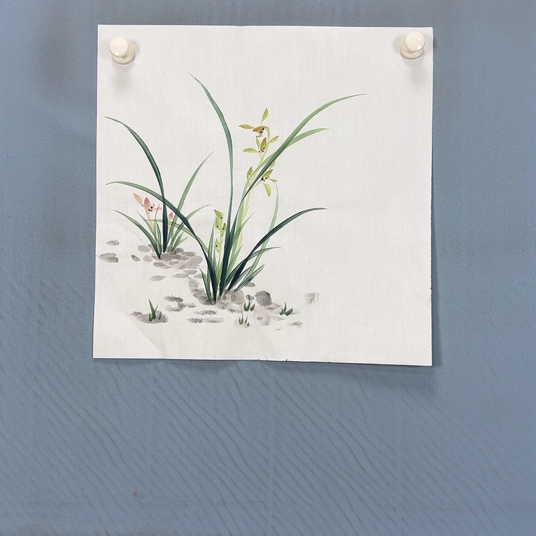 国画431 牡丹一如您的脸颊