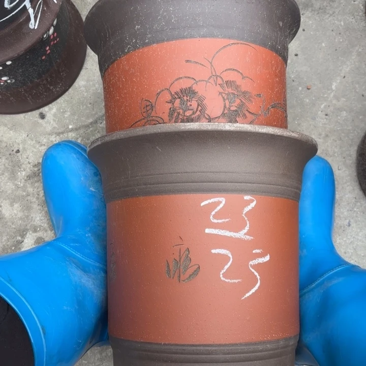 花盆紫砂紫砂的花