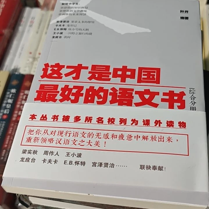 这才是中国最好的语文书综合分册务必塑封