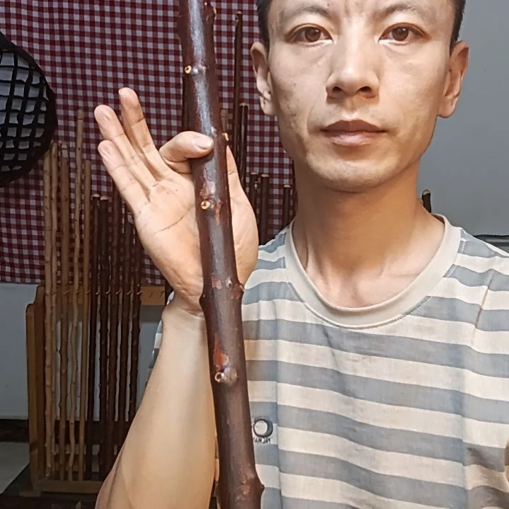 海***川太行山北对节短棍