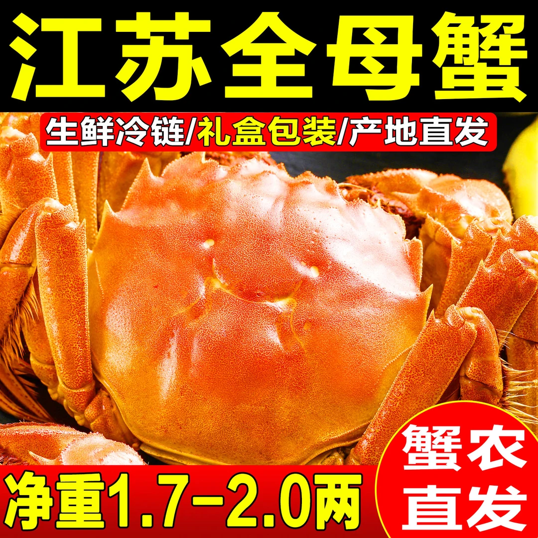 【活蟹】江苏全母螃蟹1.7-2.0两清水河蟹6/8/10只装 生鲜冷链包邮死蟹包赔
