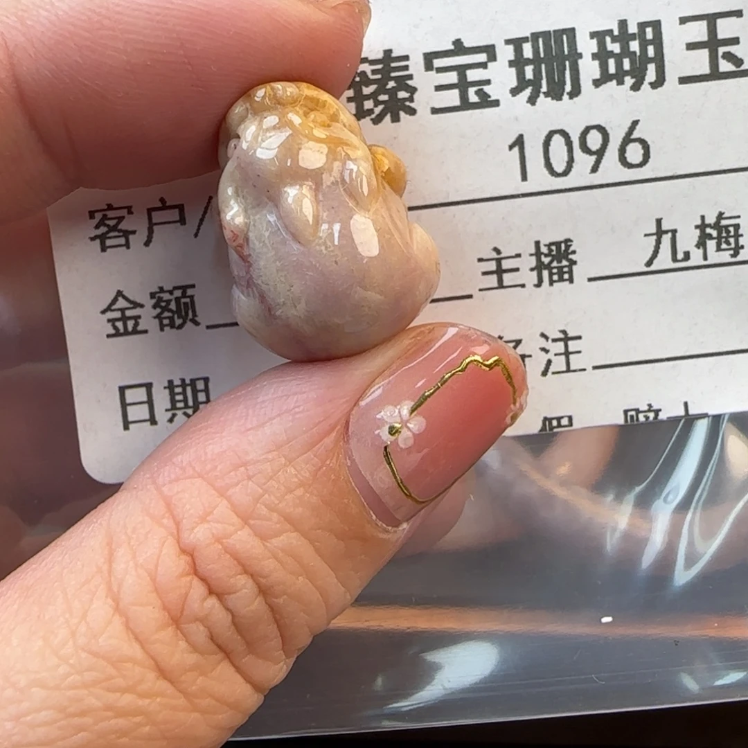 硅化珊瑚（珊瑚玉）未镶嵌颈饰