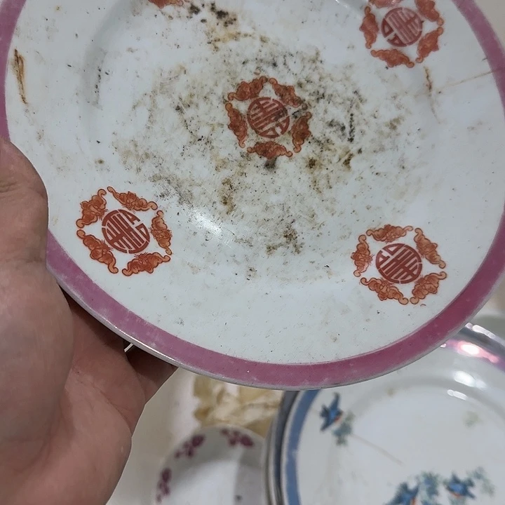 *****扇子哥哥哥哥哥哥哥哥哥哥哥哥哥哥