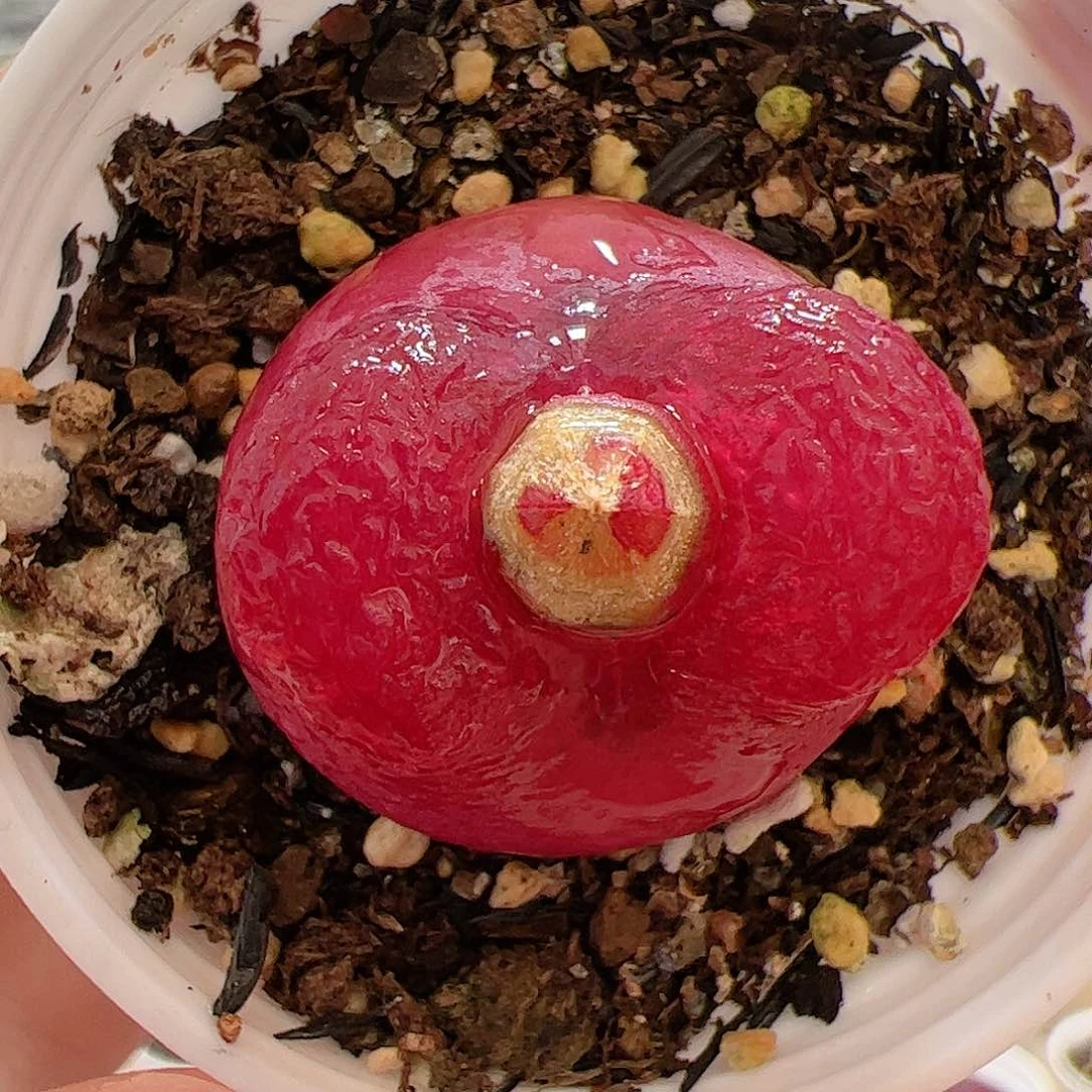 【闪购商品】103 带盆