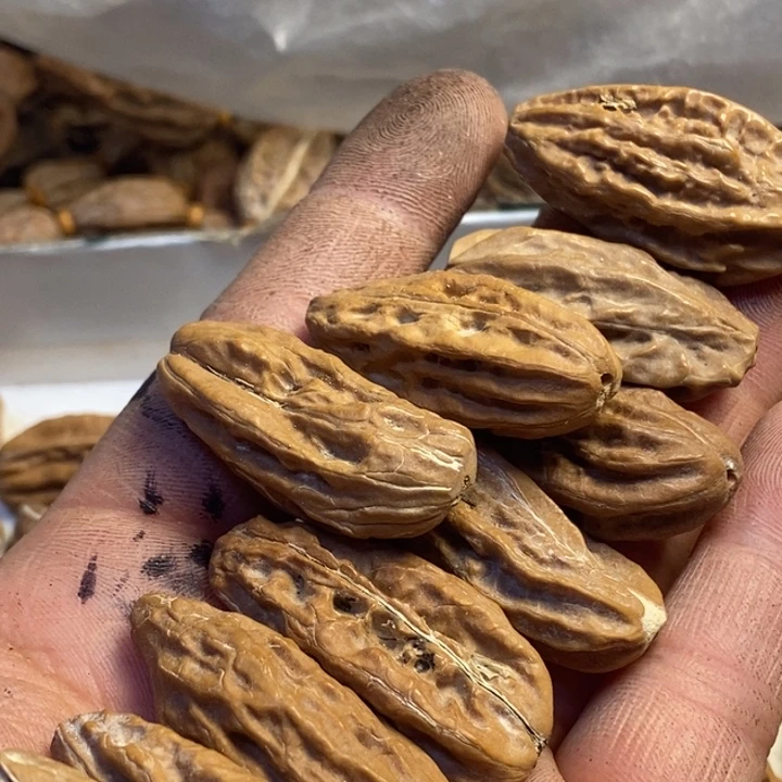 低***傲吊坠文玩核桃东北特产177