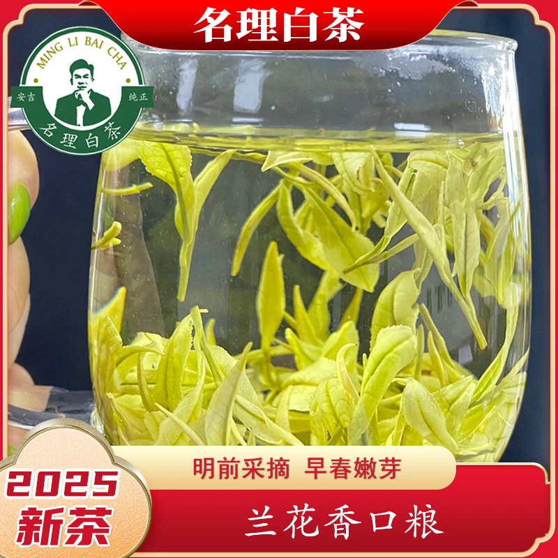 名理白【兰花香白茶】2025新茶掌柜精选安吉原产明前特级甘甜绿茶叶