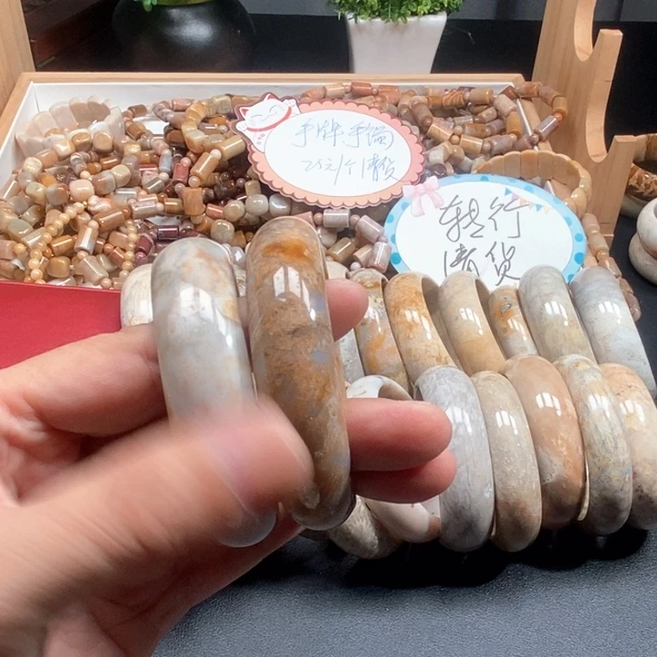 硅化珊瑚（珊瑚玉）未镶嵌颈饰