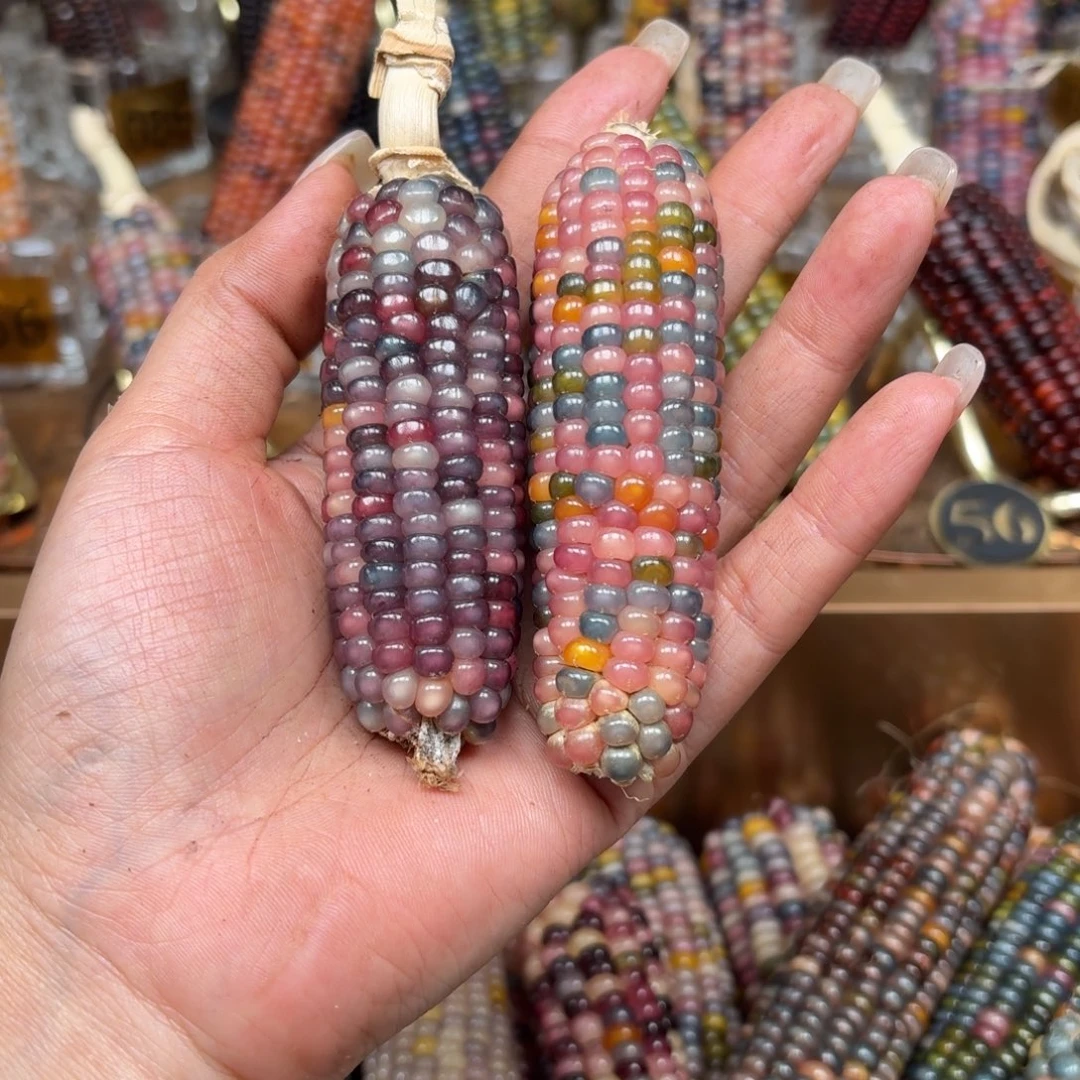 柏香籽/百香籽吊坠醒**光