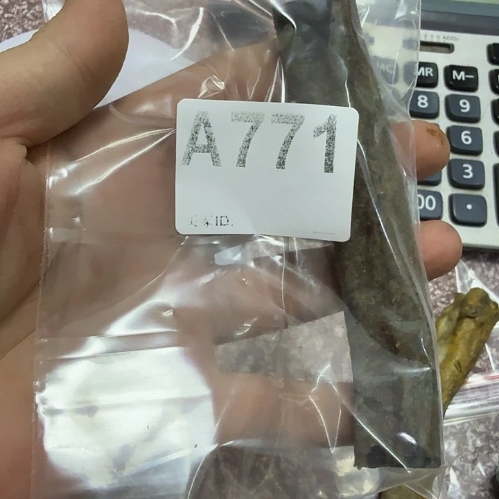 771啊啊啊啊啊啊啊啊啊