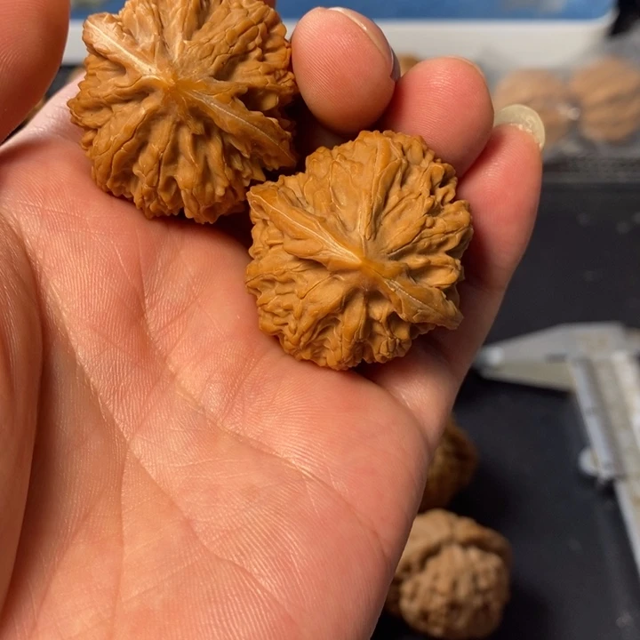 林***木桃核把件357764467