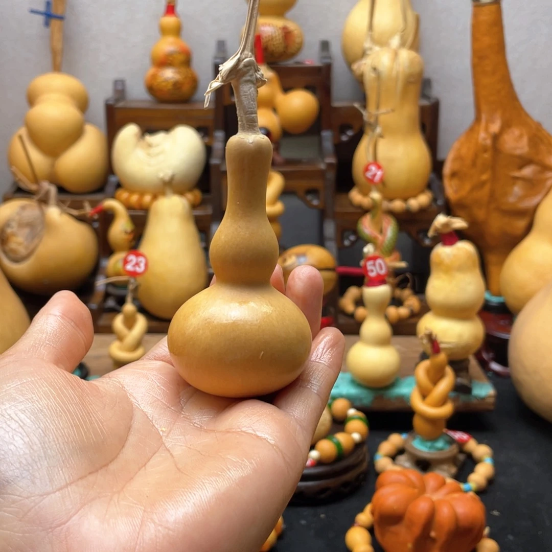 南*喃大自然的秘密第十节第一