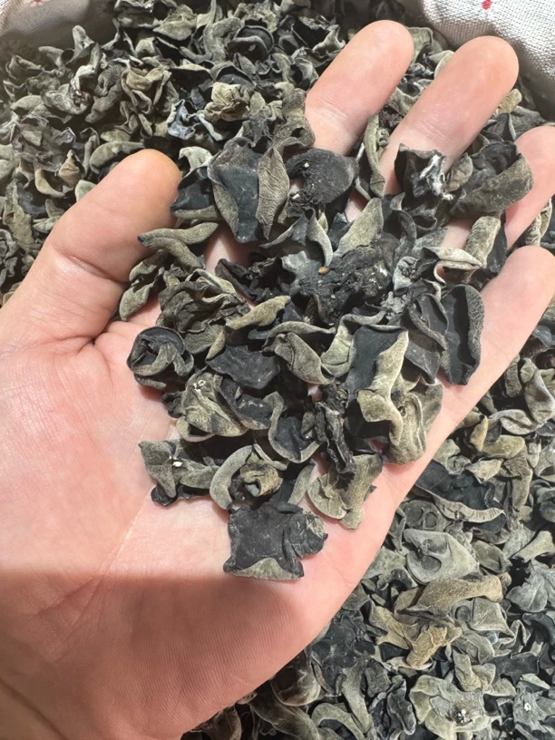 东北秋木耳无根肉厚干货特产软糯口感黑木耳