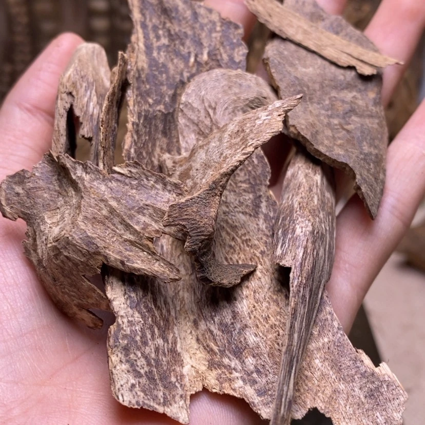 【闪购商品】海南壳子10克