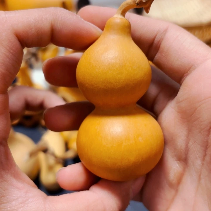 Y****18888888888888888888