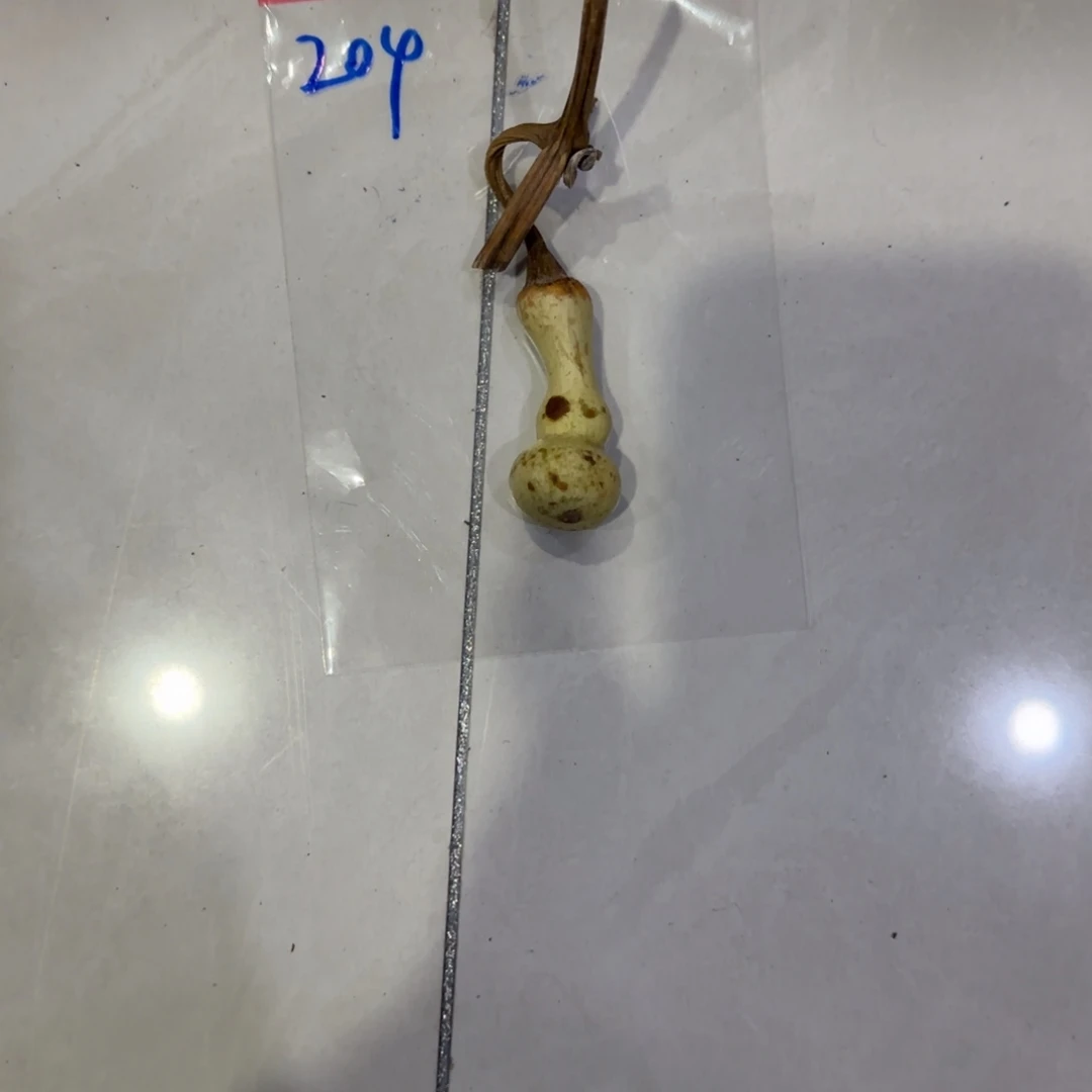 旋***1青皮不包成青皮不包成