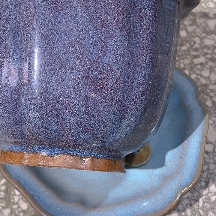 壶我说这就是传说当中有