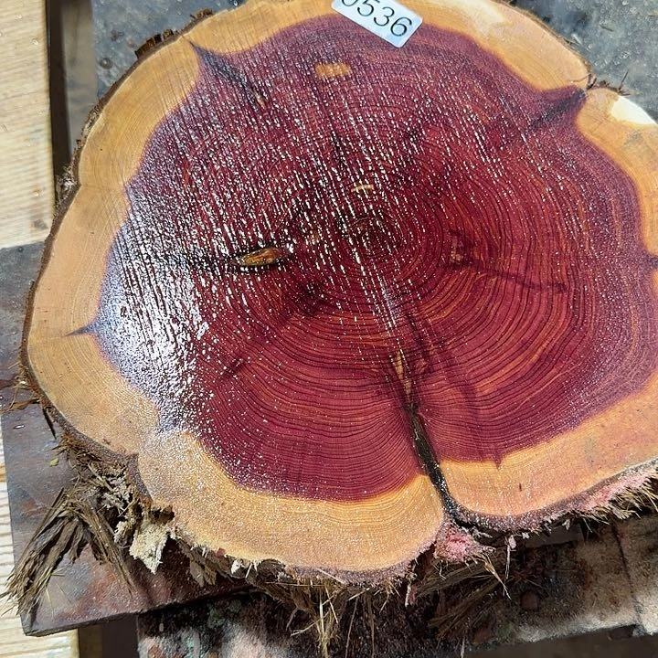 大果紫檀（缅甸花梨）血柏536
