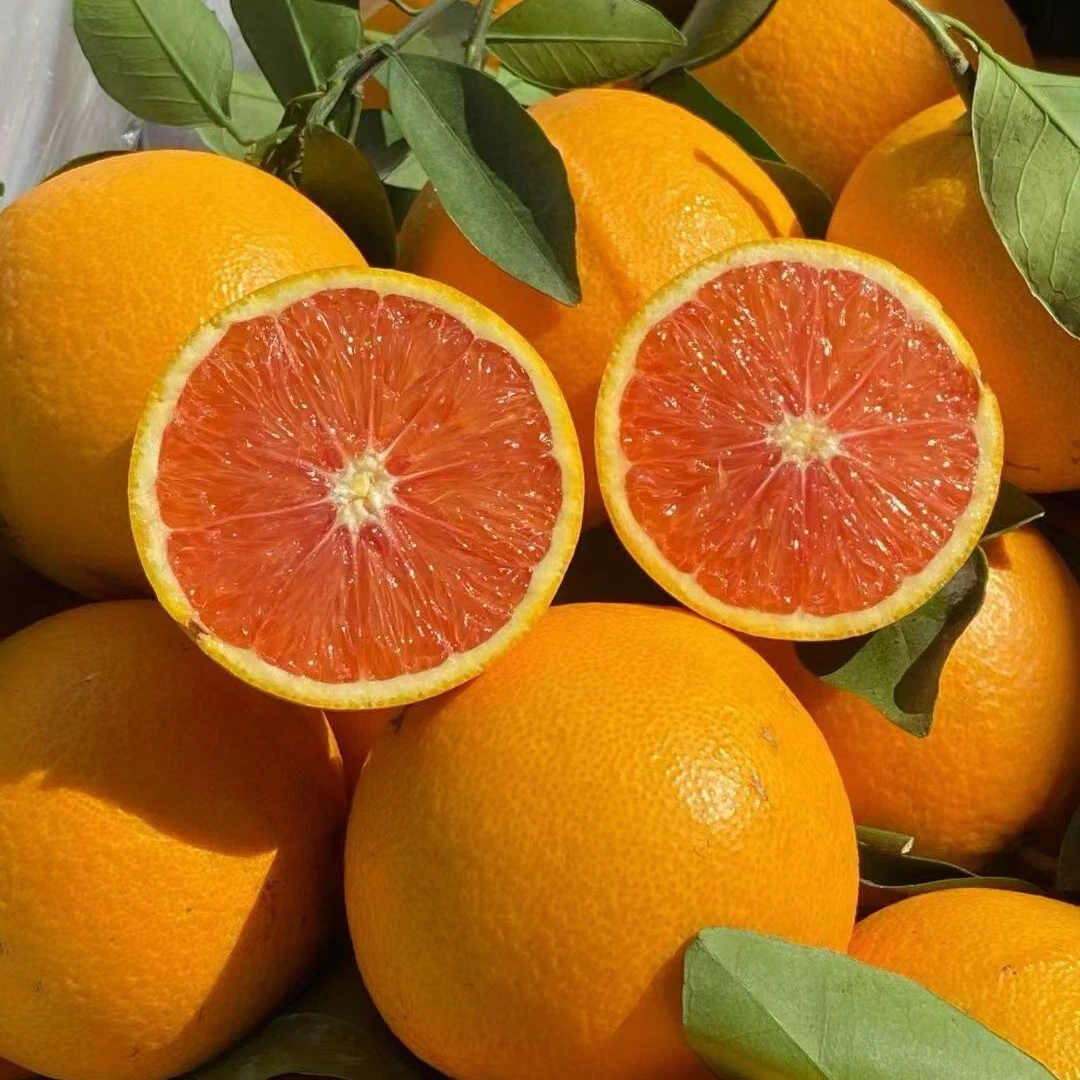 正宗江西赣南血橙当季水果新鲜橙子采摘发货寻乌果园直发整箱包邮