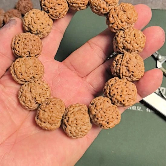 【***礼金刚菩提手串五星蜂王大金刚手串，24左右