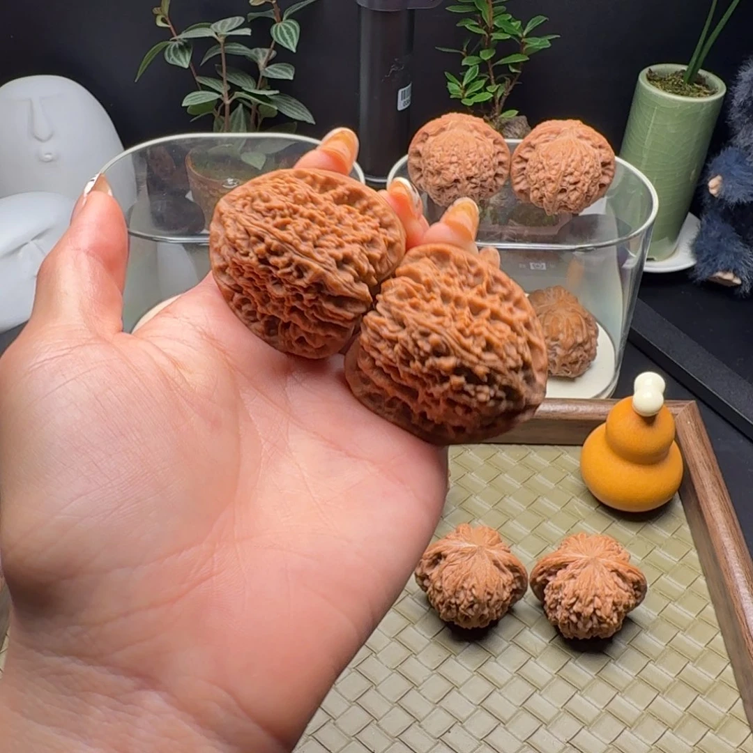 吊坠龙脊菩提南疆