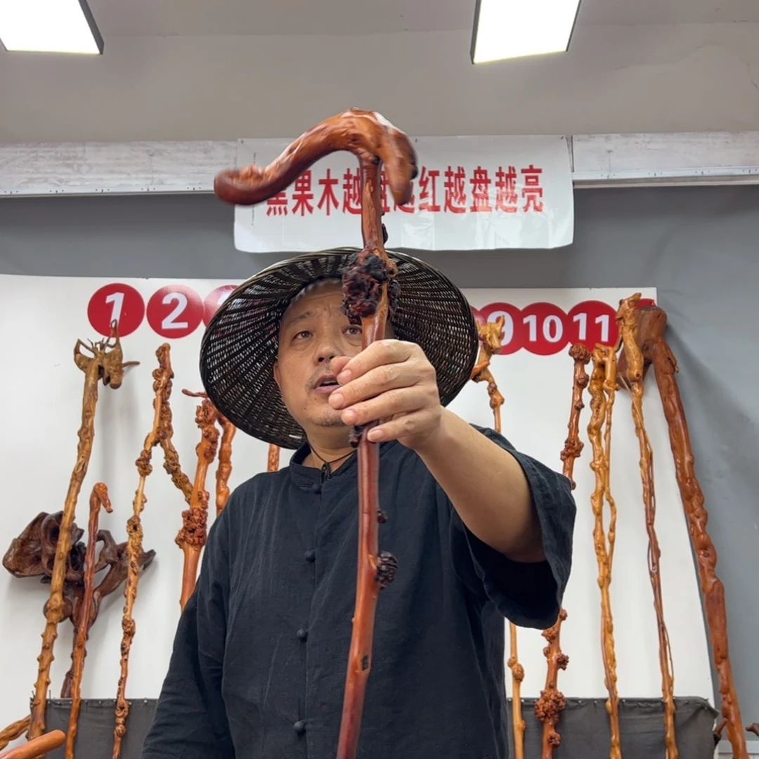 黑果木其他黑果木622