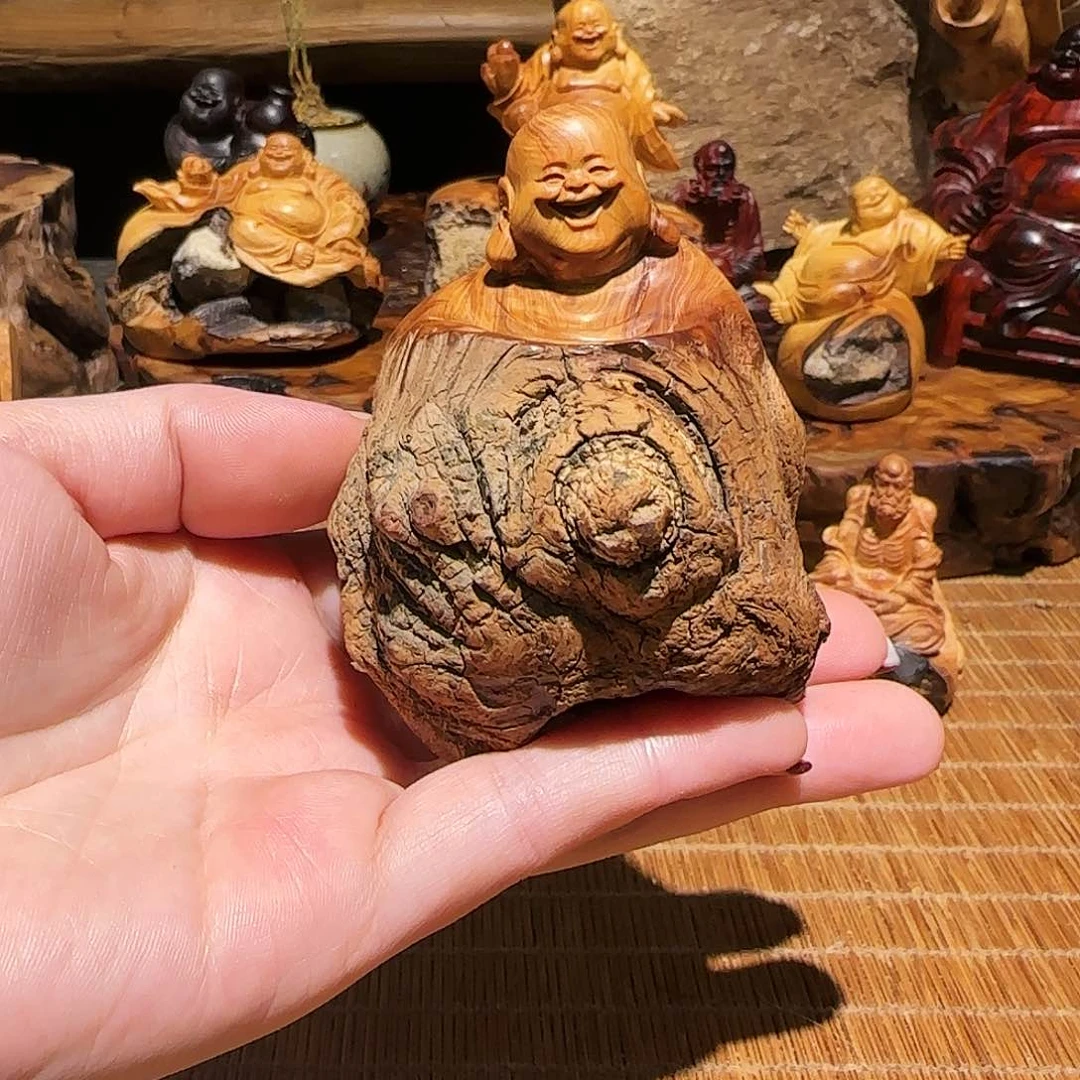 柏木（崖柏）太行集团