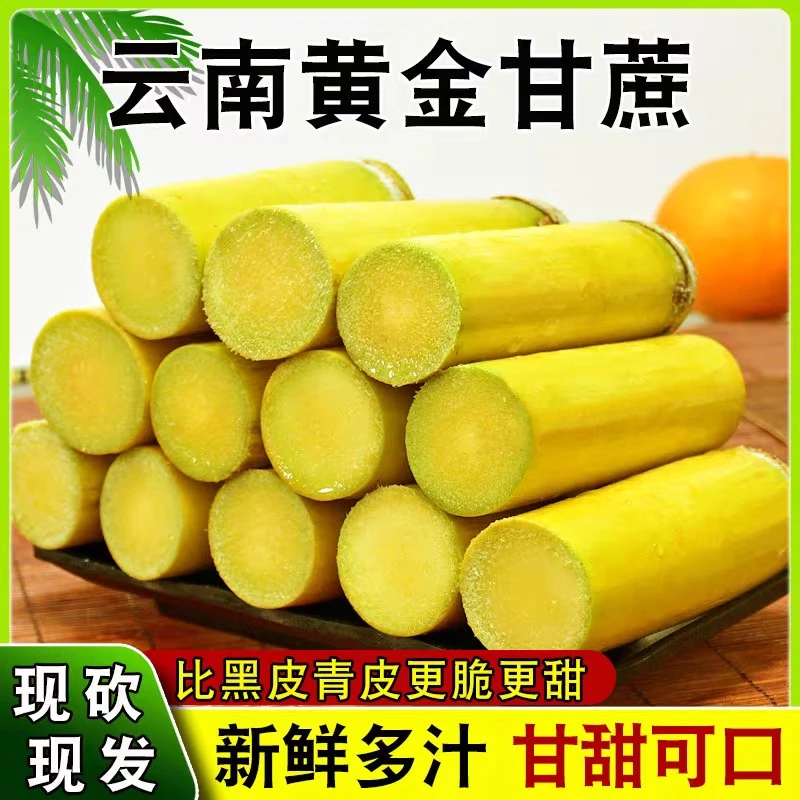 【四通一达】云南黄皮黄金甘蔗 甘甜多汁 5/9斤装 新鲜超甜