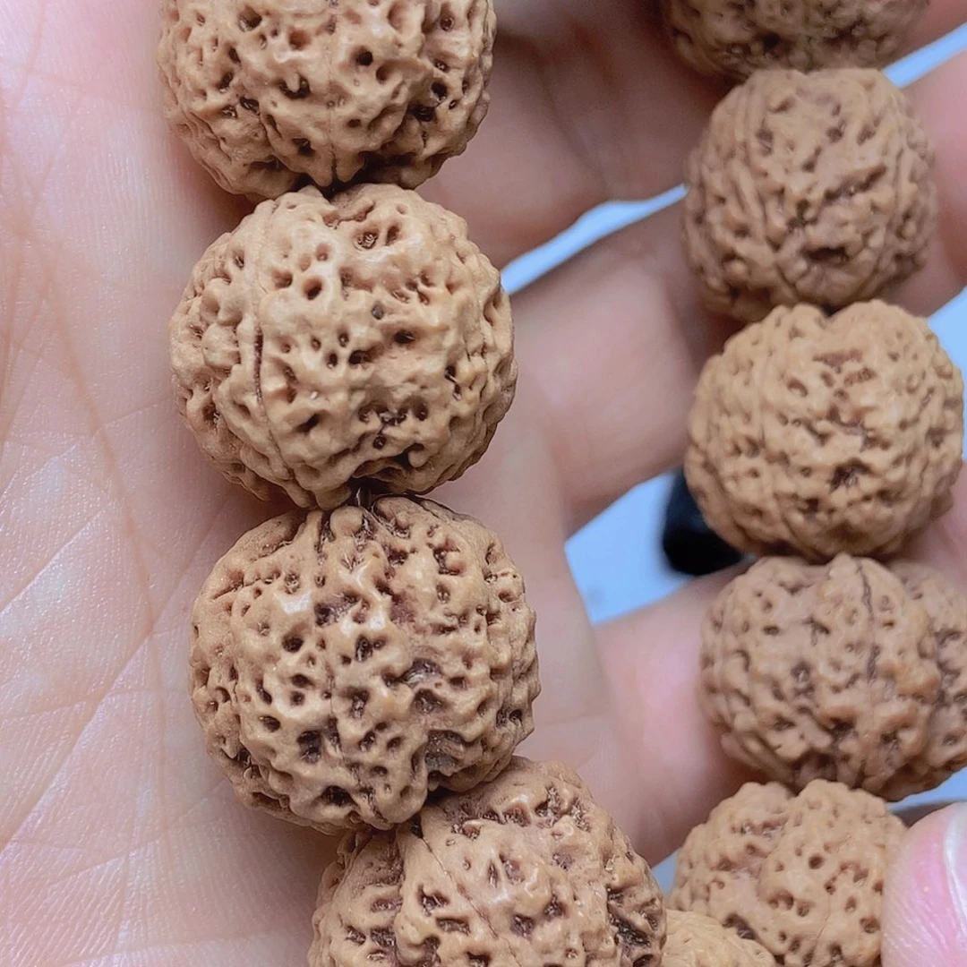 金刚菩提把件5瓣21五星双龙