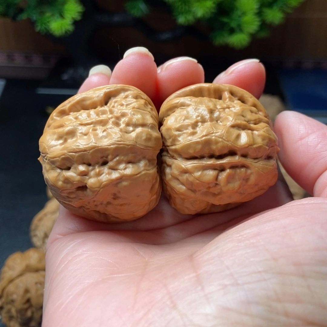 文玩核桃把件蛤蟆39