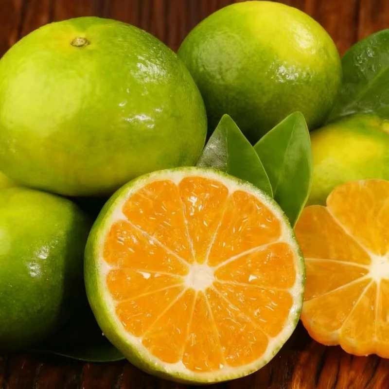 江西寻乌蜜橘皮薄多汁无籽青皮蜜桔当季现摘新鲜水果