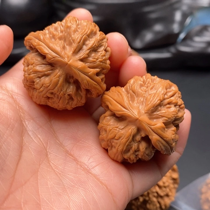 文玩核桃把件红锦鲤40尺