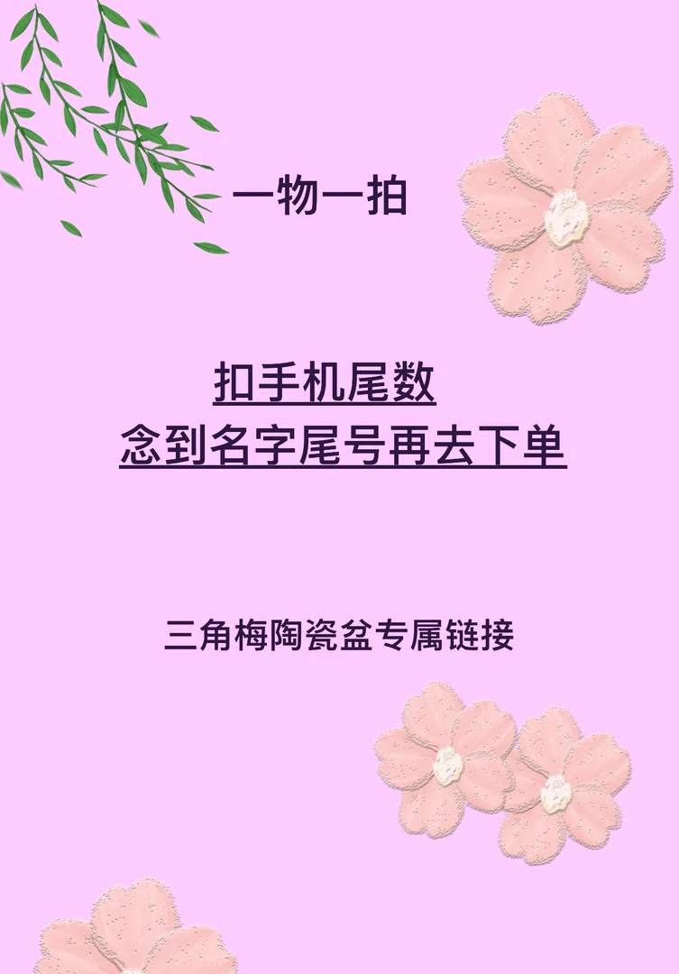 【精品陶瓷盆】三角梅勤花品种植物一物一拍