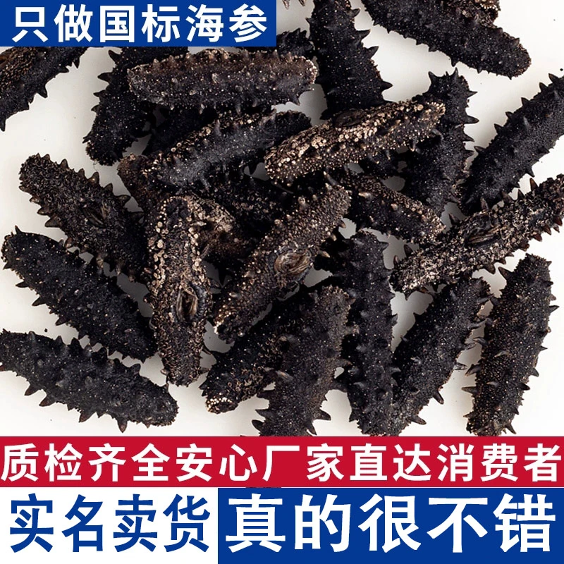 （国标淡干海参）送礼营养滋补佳品高倍速发泡发非即食海参非野生鲜
