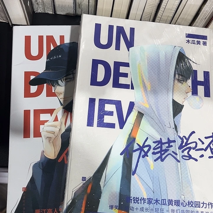 伪装学渣全新全套两本带周边未删减