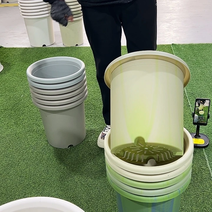 微瑕7号四季口33号33混色无托6只