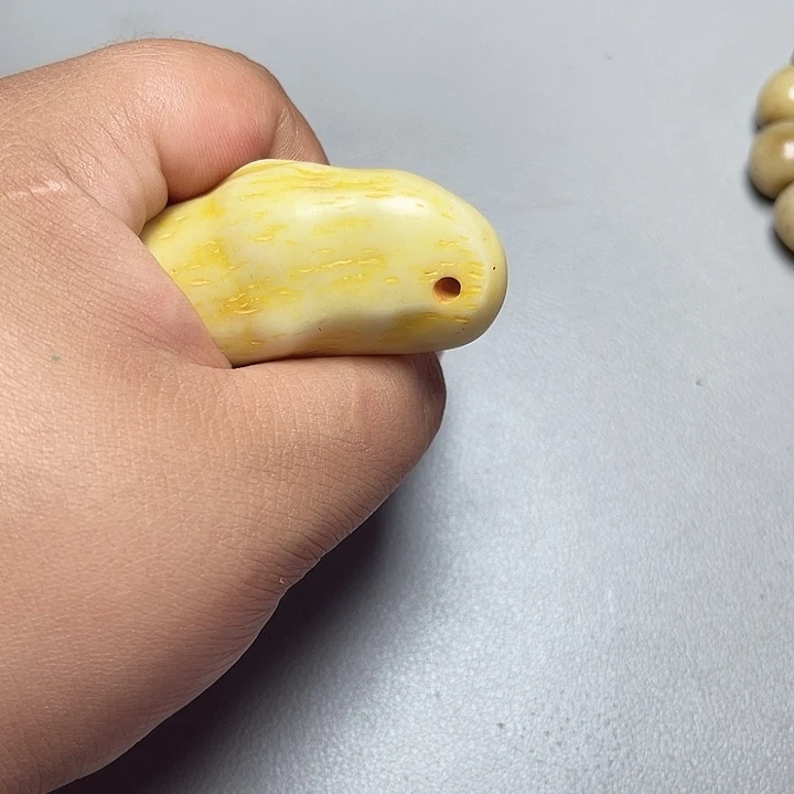 大果紫檀（缅甸花梨）