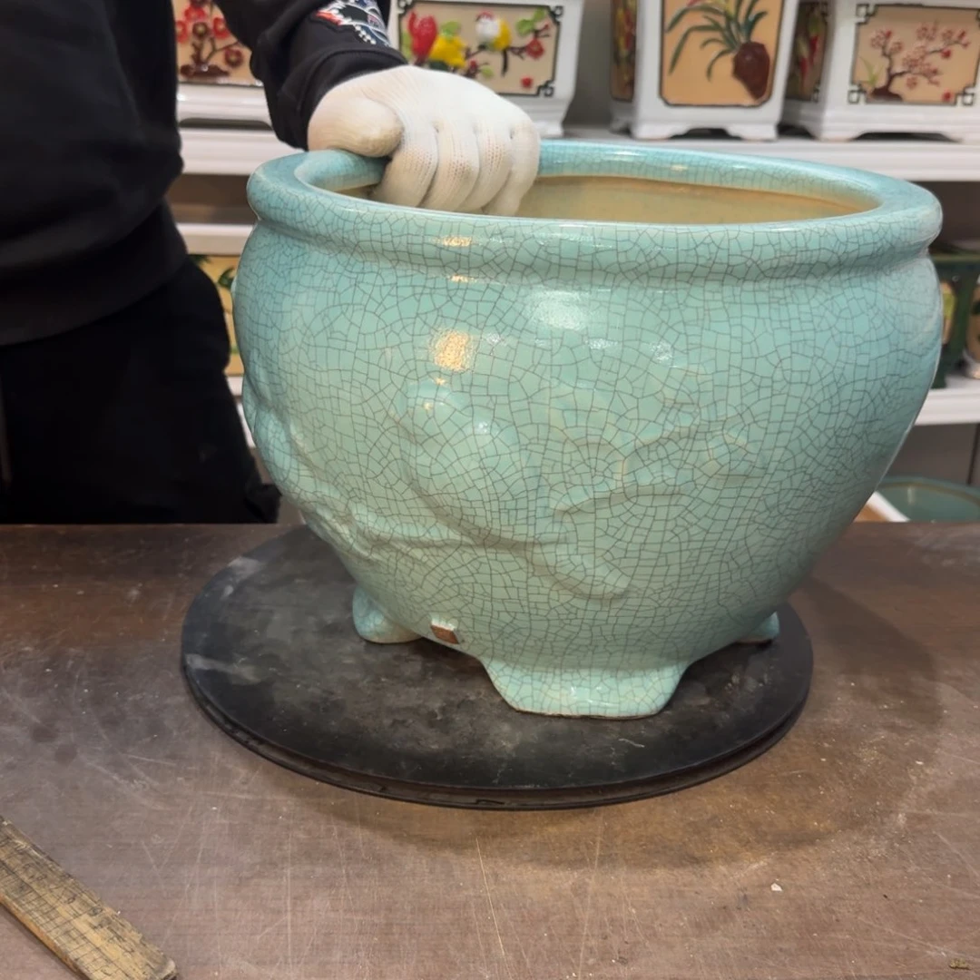 红陶阿*1222222222222