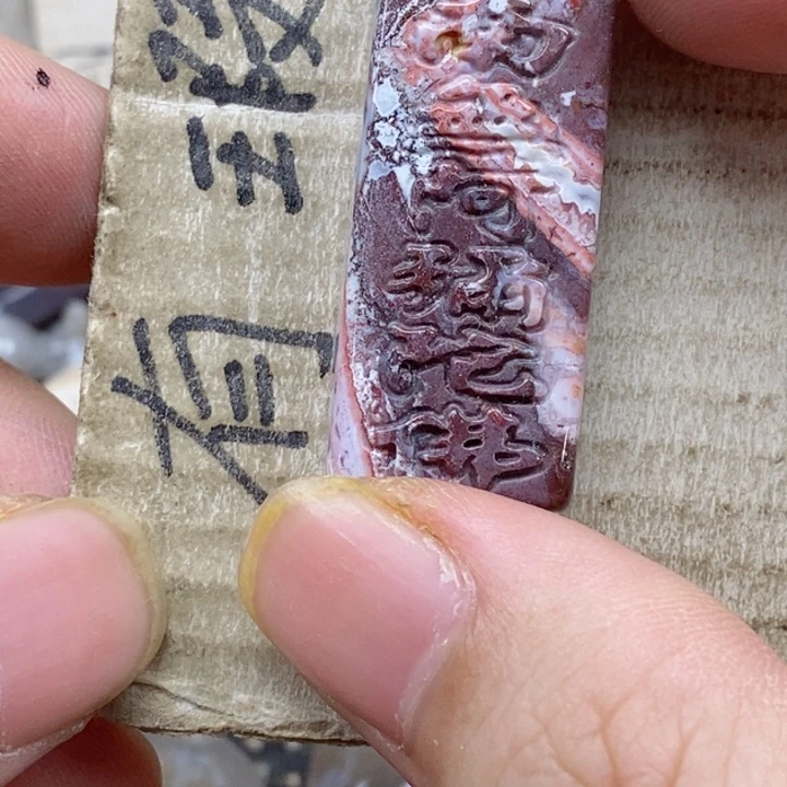 颈饰未镶嵌硅化珊瑚(珊瑚玉)财*小