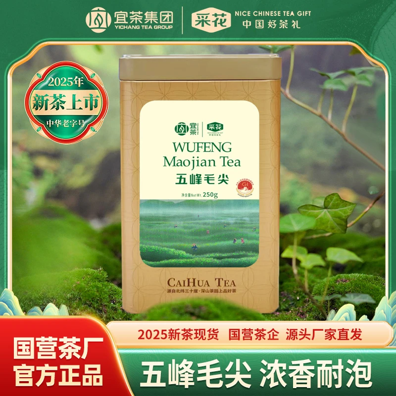 采花【2025新茶现货】五峰绿茶毛尖新茶罐装半斤250g