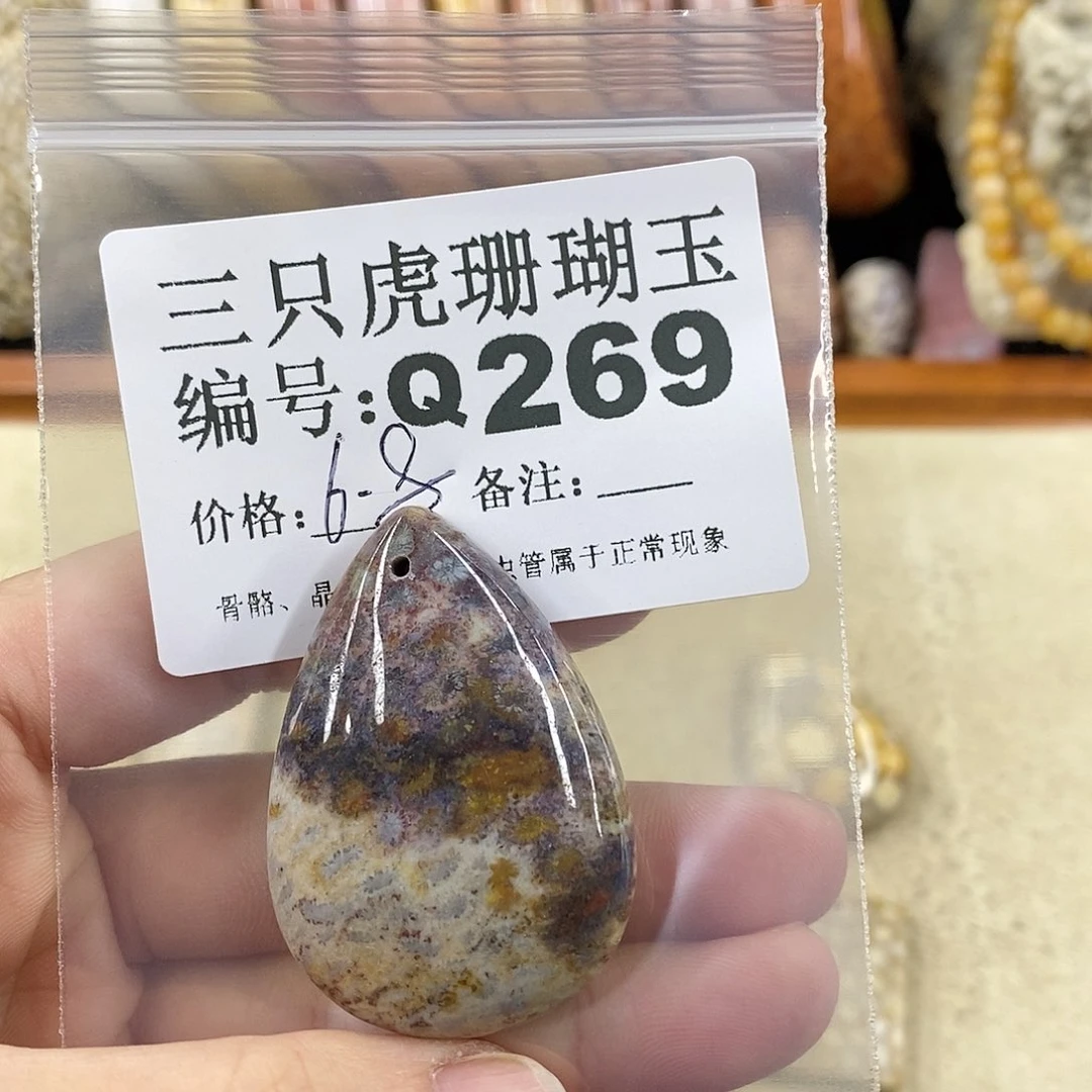 硅化珊瑚（珊瑚玉）1未镶嵌曾**时