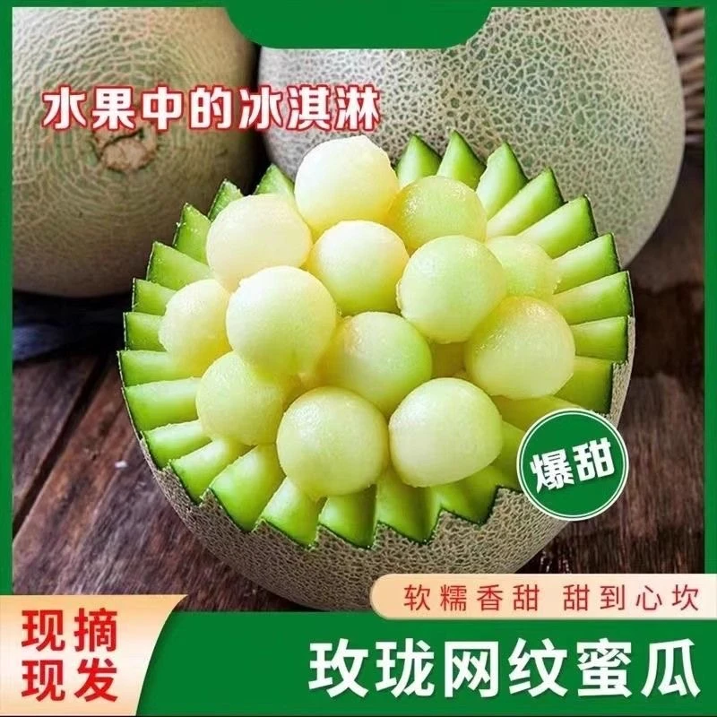 山东网纹蜜瓜新鲜水果冰淇淋甜瓜当季哈密瓜香甜玫龙蜜瓜整箱包邮