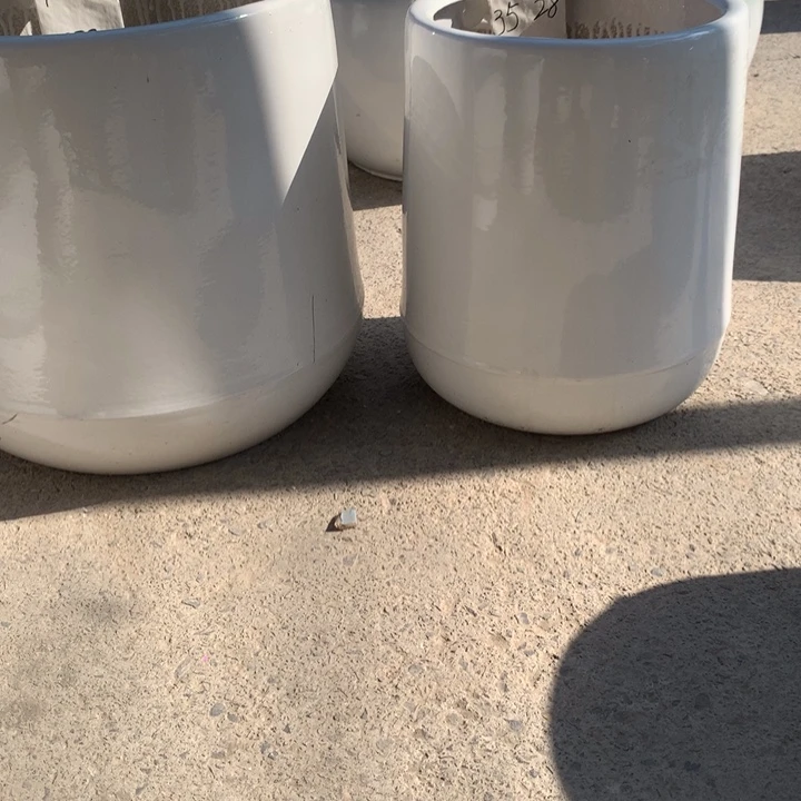 花盆里的小猫咪也是很可爱