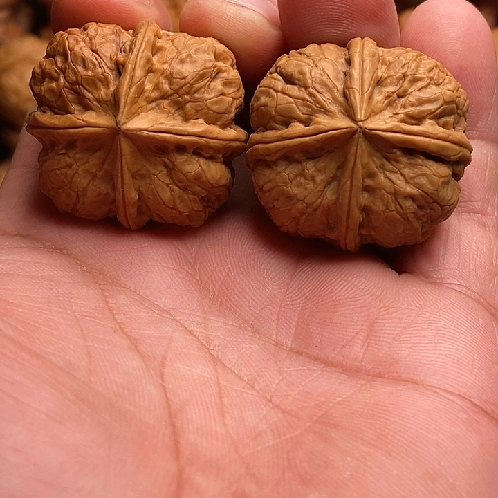 大***利桃核把件还哈哈哈哈哈哈哈哈哈哈