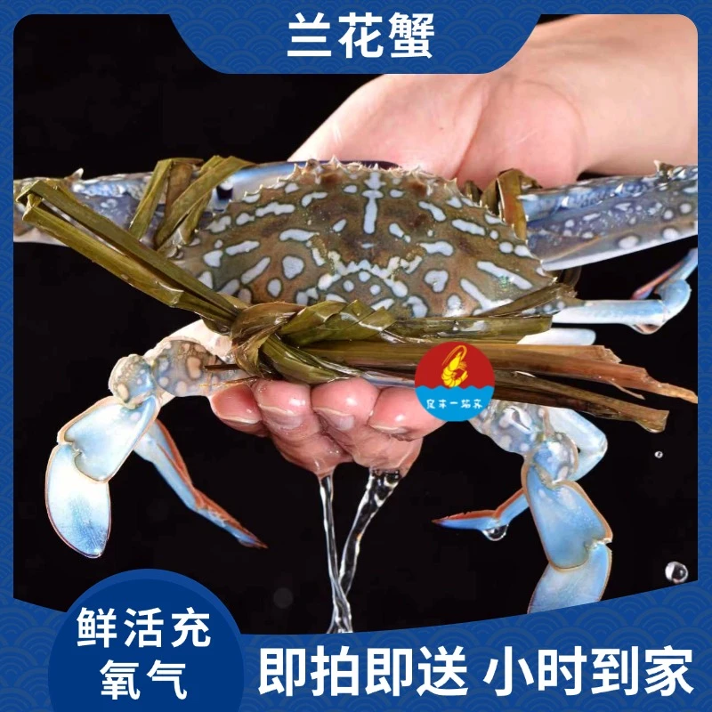 【花蟹】 默认打氧配送 小时到家  在途过程中会发生个别缺氧死亡状态，介意请慎拍kg蟹同城配送