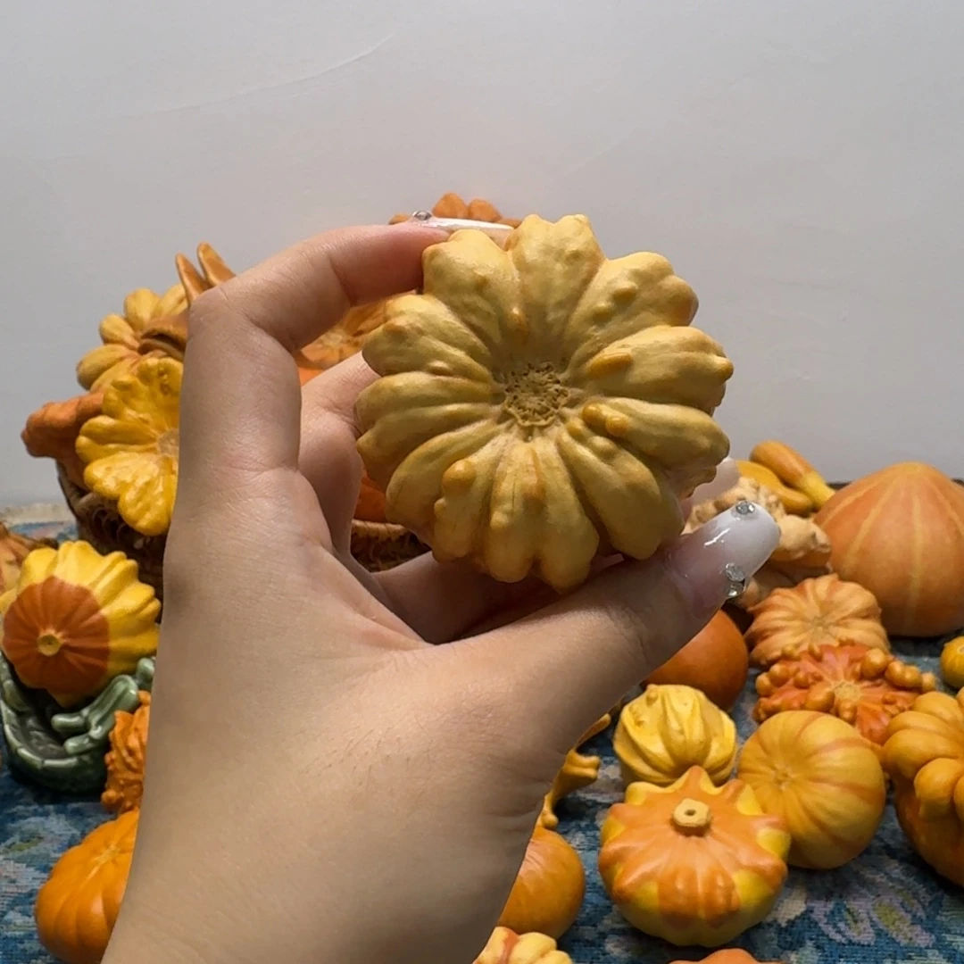 墨西哥葫芦瑕中等大小