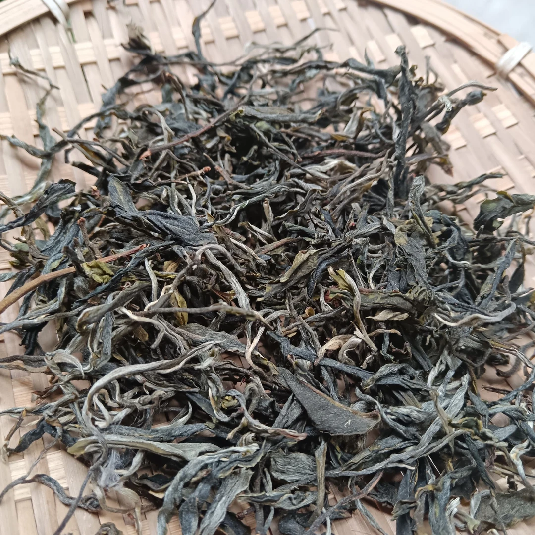 2025年临沧大朝山古树春茶