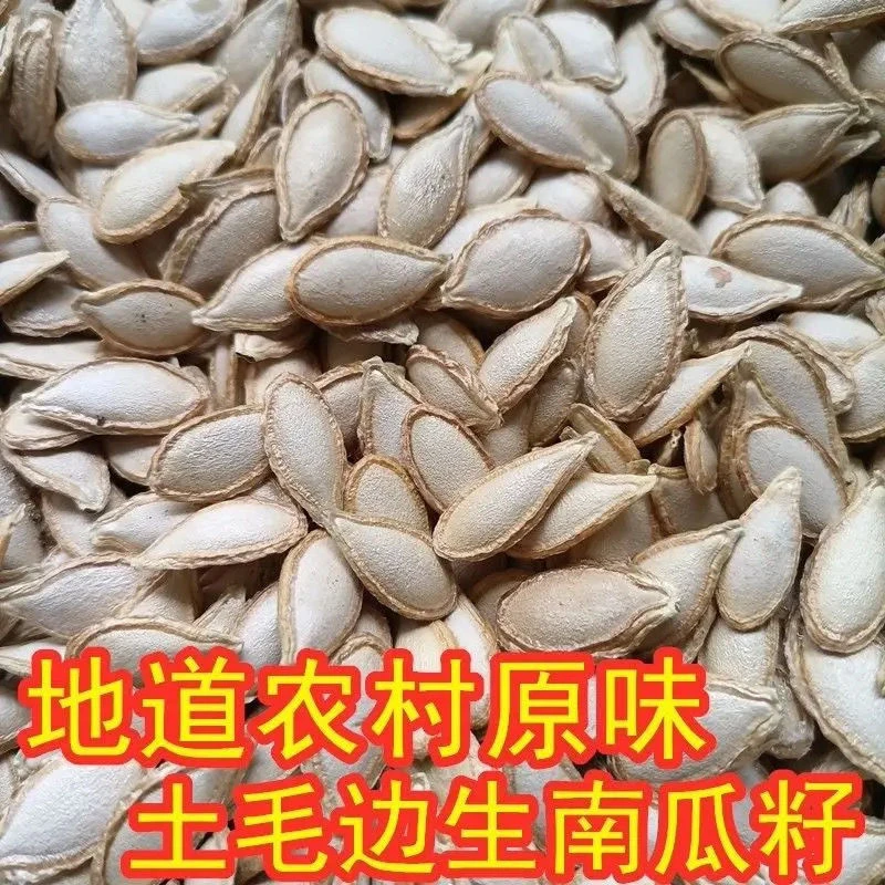 四川农家老品种毛边生南瓜子