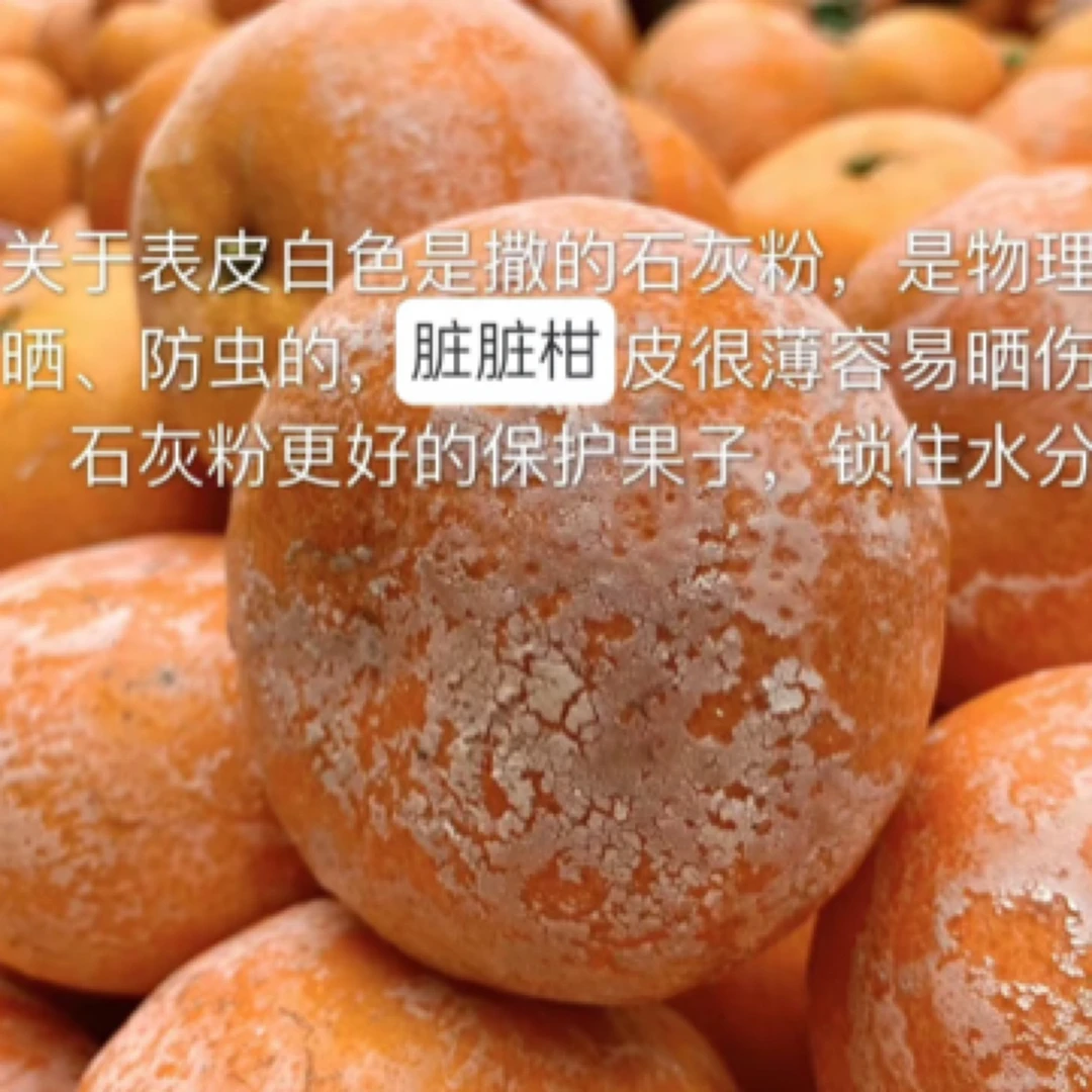 脏脏柑5斤装 纯甜无酸 口感细腻 广东 五斤装耙耙柑加纳广东省东莞市