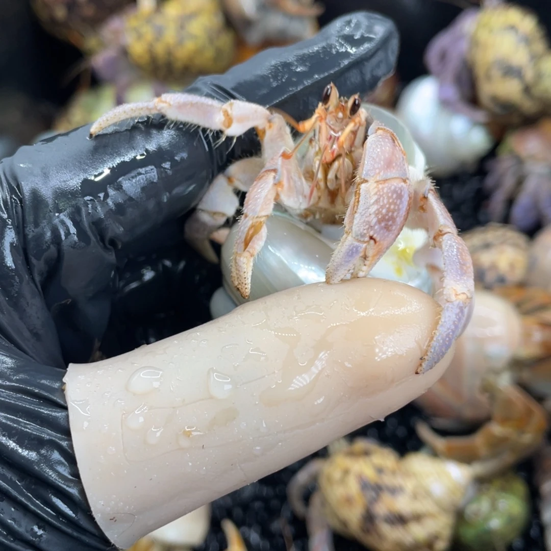 ffghhhhhjjjjhbbbnjjnnn